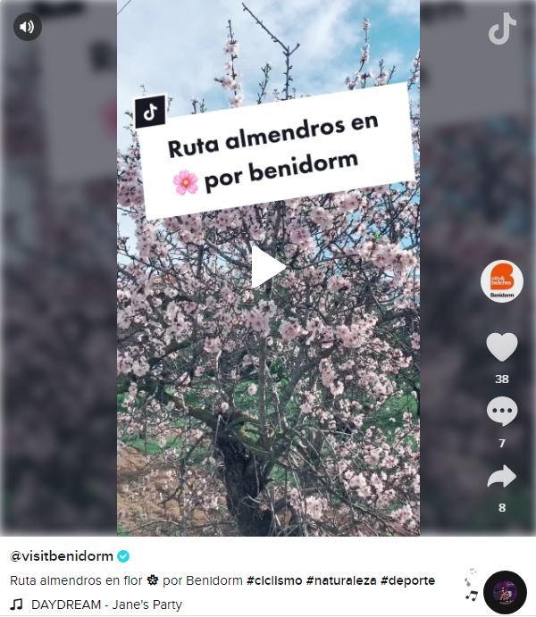 Video en la red social Tik Tok explicando cómo llegar y cómo se ve la ruta de los almendros en flor por la Huerta de Benidorm.