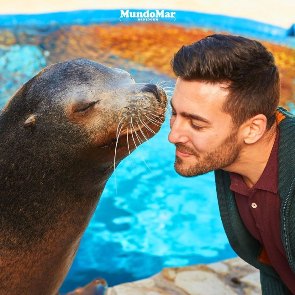 La fotografía es tomada en Mundomar, un parque zoológico de la ciudad española de Benidorm. En la imagen sale un hombre acercando su cara a la de una foca pareciendo que fuese a darle el animal un beso en la mejilla.